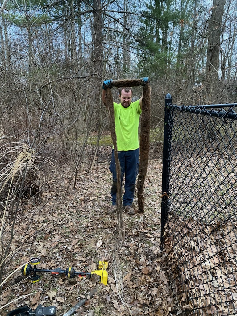 tree root pulled out of sewer drain that had blocked water from draining correctly